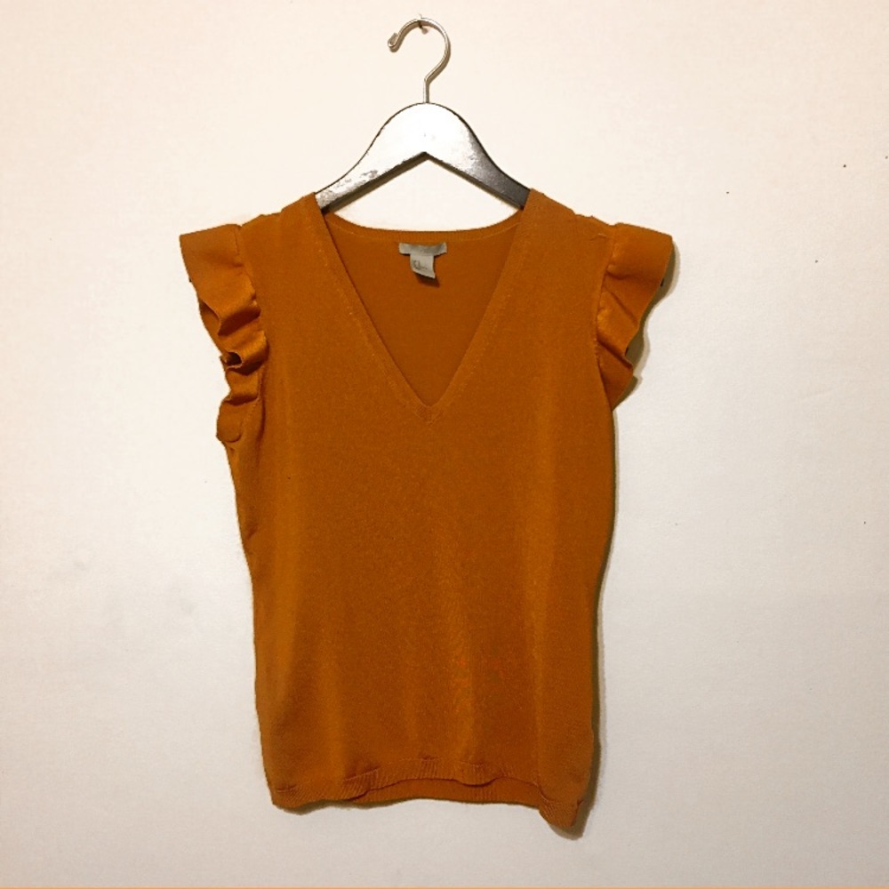Burnt orange Knit Ruffle sleeve v-neck top